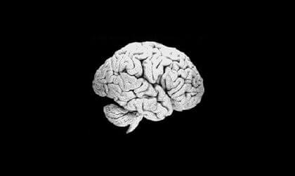 Une imagerie du cerveau humain