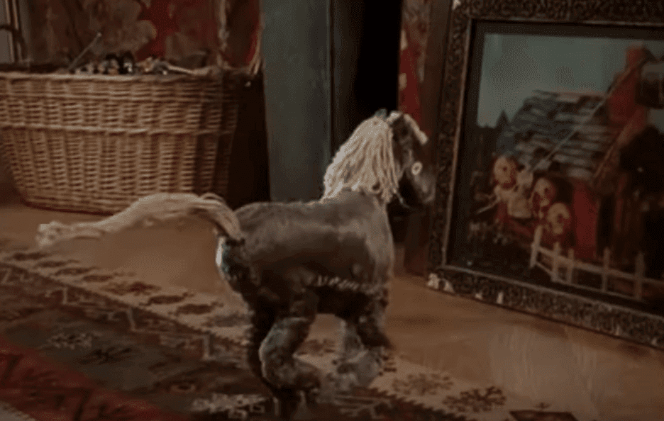 Un cheval dans La Science des rêves