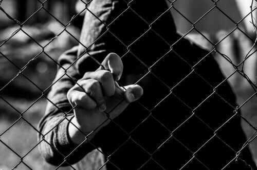 La délinquance et la criminologie