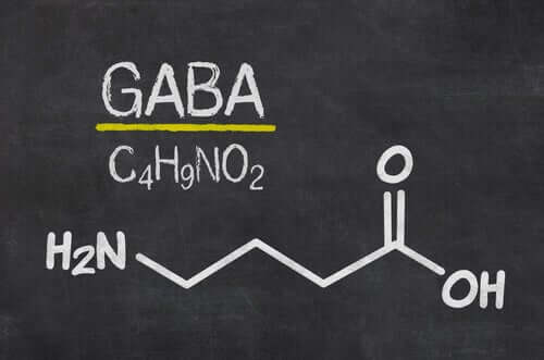 GABA et son lien avec la neurobiologie de la déception