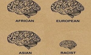 Comment fonctionne le cerveau d'une personne raciste ?