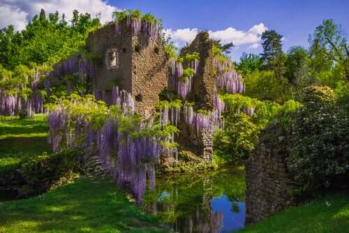 Un jardin fleuri
