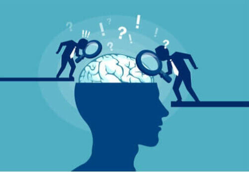 Que sont les neuromythes ?