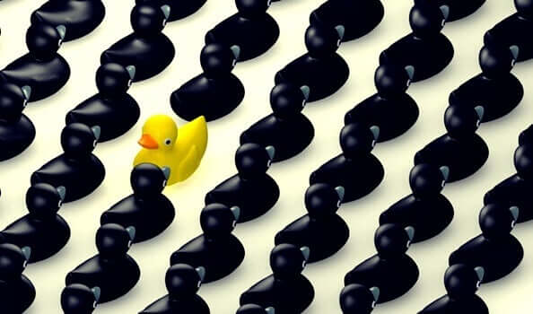 Un canard jaune qui ne parvient pas à s'intégrer dans un groupe de canards noirs