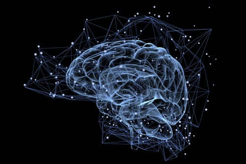 Un cerveau illuminé