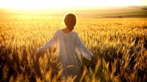 Que sont  les lois de l'Ikigai ? Découvrez-les ici !