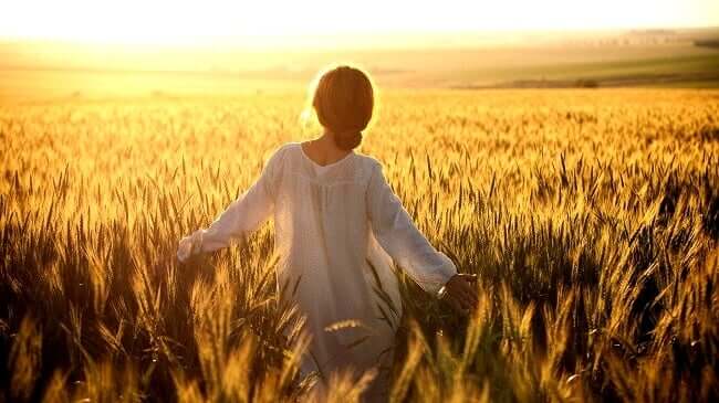 Que sont les lois de l'Ikigai ? Découvrez-les ici !