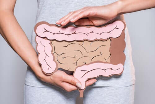 La digestion mentale : la clé des problèmes intestinaux