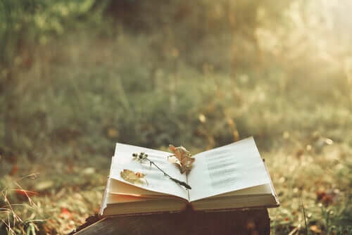 Un livre ouvert dans la nature.