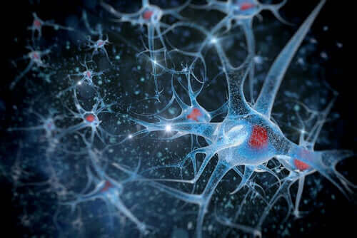 La synchronisation neuronale en cours