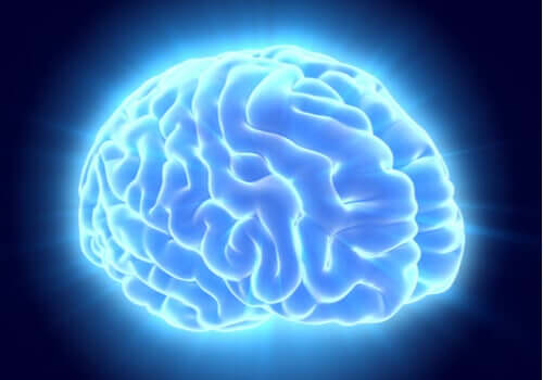 Un cerveau illuminé bleu