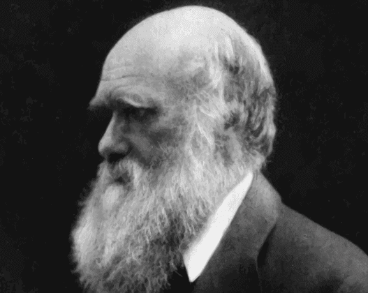 Charles Darwin, cousin de Francis Galton