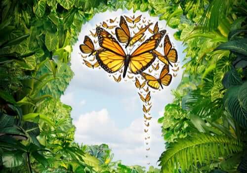 Des papillons dans l'esprit représentant l'absence de chaos