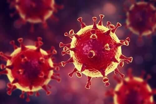 Quelques conseils psychologiques pour faire face au coronavirus : des « vaccins » pour éviter la panique