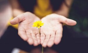 En quoi consiste la croissance post-traumatique ?