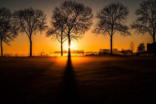 La sagesse et le silence selon Pythagore