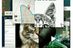 "Don't F*** with Cats" : l'obscurité du net