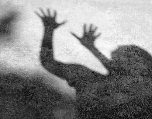 Un prisonnier de Guantanamo