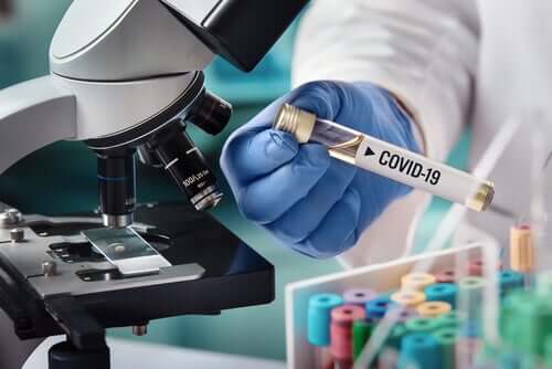 Un scientifique étudiant les effets neurologiques du COVID-19