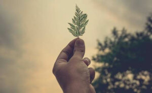 Voici ce que vous pouvez faire pour aider au cours de la pandémie