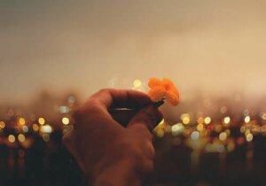 Les 9 meilleures phrases de Viktor Frankl pour réfléchir