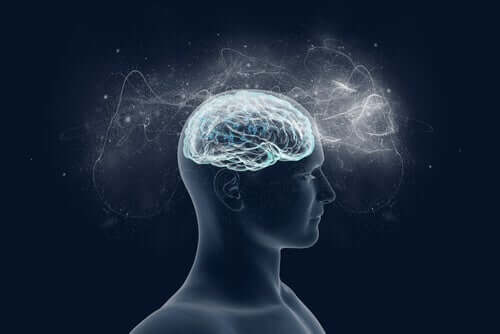 Un cerveau illuminé