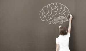 Pourquoi les psychologues utilisent-ils le WISC ?