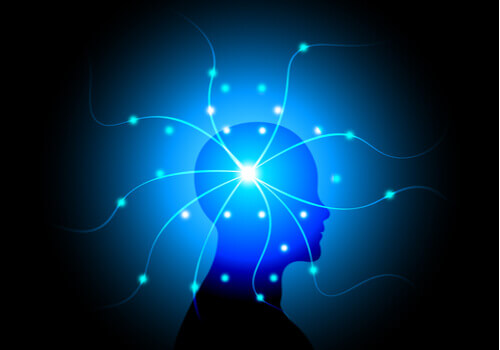 Quels sont les troubles de la psychopathologie de la conscience ?