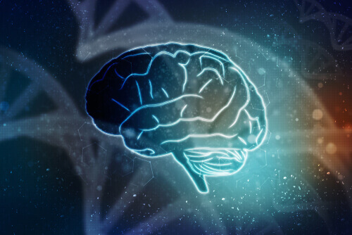 Une illustration d'un cerveau 