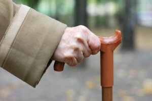 Cane-Fu : le nouvel art martial pour les personnes âgées