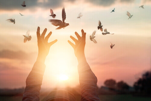 Des oiseaux représentant la résilience