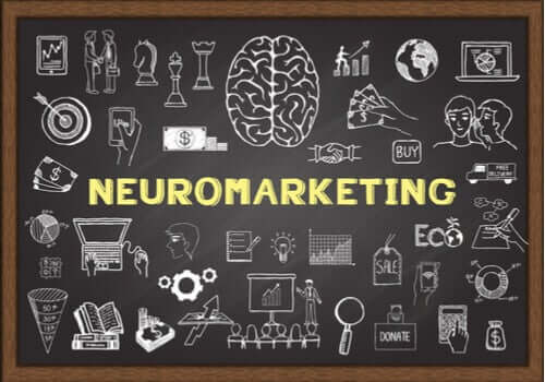 Neuromarketing : le cerveau du consommateur