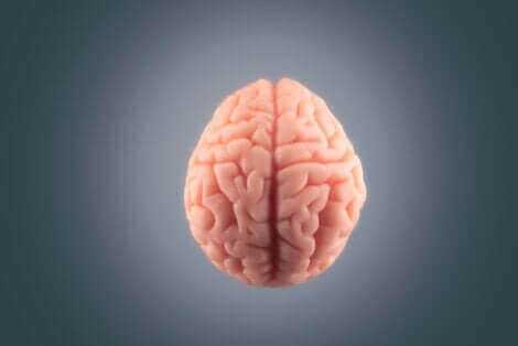 Le cerveau face au processus de numérisation.