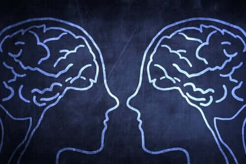 Le cerveau social : pourquoi est-ce un avantage évolutif ?