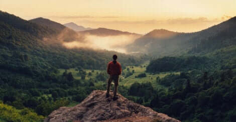 Un homme au sommet d'une montagne.