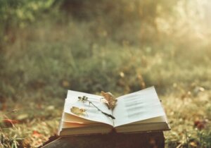 La poésie pour soulager la douleur