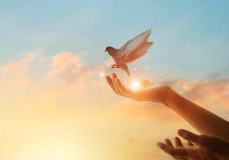 La colombe symbolise le fait de garder espoir.