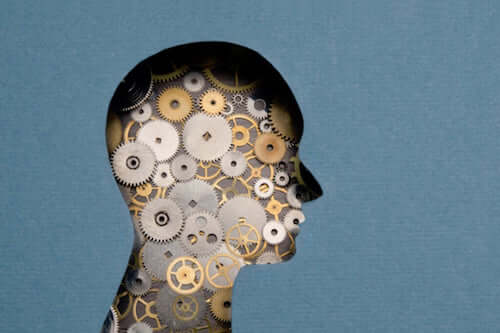 La neuropsychologie médico-légale