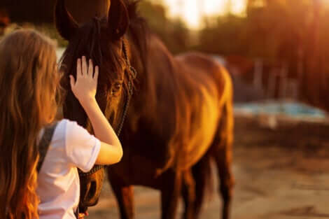 Hypohobie : la peur des chevaux.