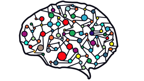 La disponibilité du cerveau.