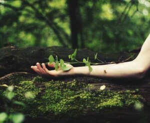 Quand je crois en moi, je réveille mes forces et je grandis