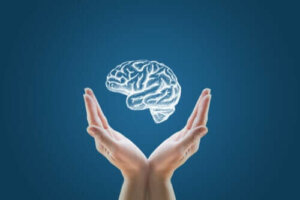 Création de mini-cerveaux : le début du clonage humain ?