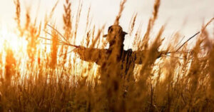 La stratégie de l'épouvantail pour résoudre les problèmes