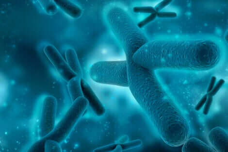 Une illustration de chromosomes.