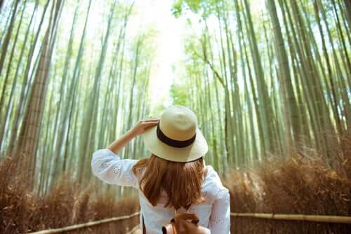 Une femme dans une forêt remplie de bamboos. 