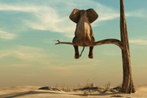 Grossophobie : le véritable éléphant de la salle