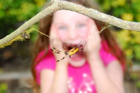 Une enfant qui a peur des araignées.
