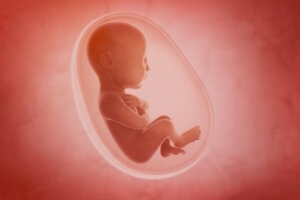 Les sens qui se développent avant la naissance