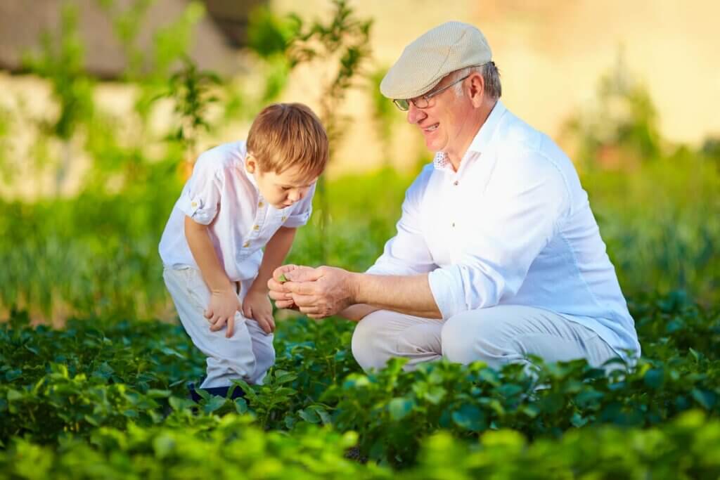 Un enfant en compagnie d'une personne âgée.