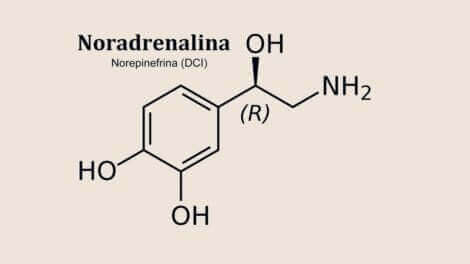 La formule chimique de la norédraline.